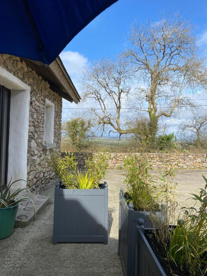 Kingsford Renovated Old Cottage Wexford Exterior foto
